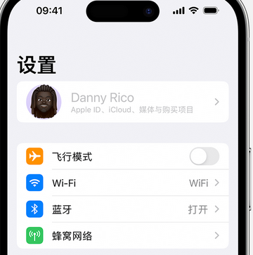 惠城appleID维修服务iPhone设置中Apple ID显示为灰色无法使用 