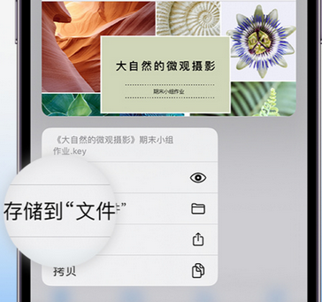 惠城apple维修中心分享iPhone文件应用中存储和找到下载文件