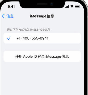 惠城apple维修iPhone上无法正常发送iMessage信息 