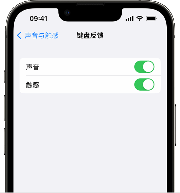 惠城苹果14维修店分享如何在 iPhone 14 机型中使用触感键盘 