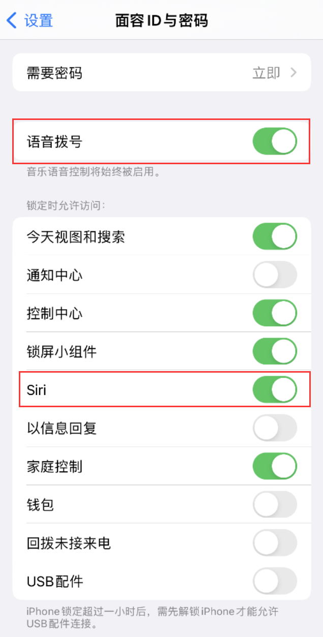 惠城苹果维修网点分享不解锁 iPhone 的情况下通过 Siri 拨打电话的方法 