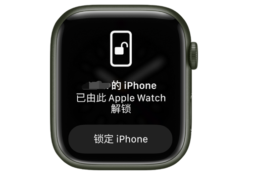 惠城苹果手机维修分享用 AppleWatch 解锁配备面容 ID 的 iPhone方法 