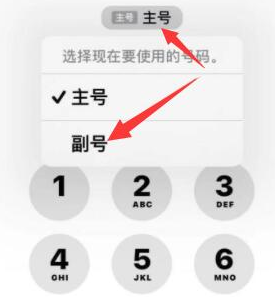 惠城苹果14维修店分享iPhone 14 Pro Max使用副卡打电话的方法 