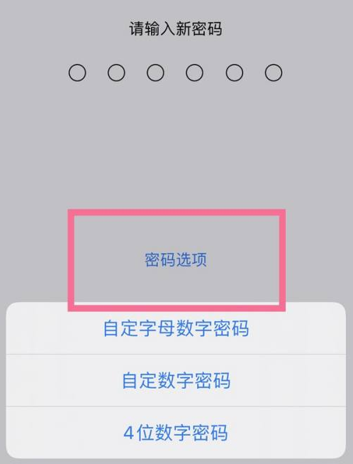 惠城苹果14维修分享iPhone 14plus设置密码的方法 