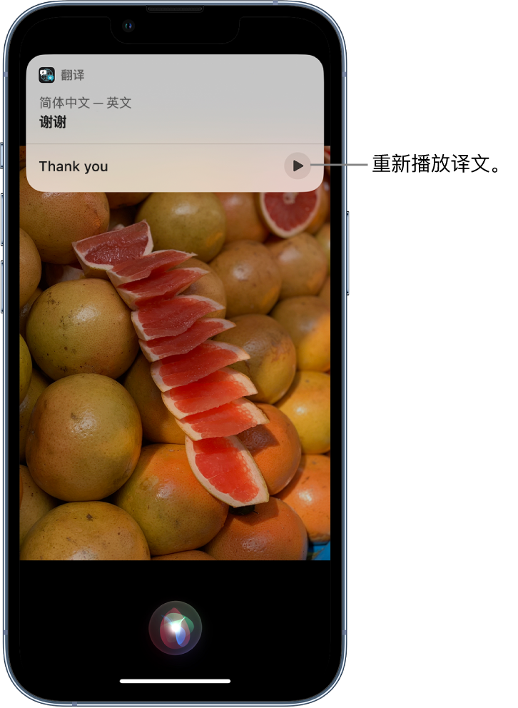 惠城苹果14维修分享 iPhone 14 机型中使用 Siri：了解 Siri 能帮你做什么 