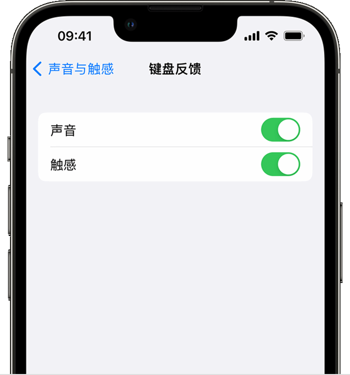 惠城苹果14维修分享iPhone 14 系列机型如何开启键盘声音或触感反馈 