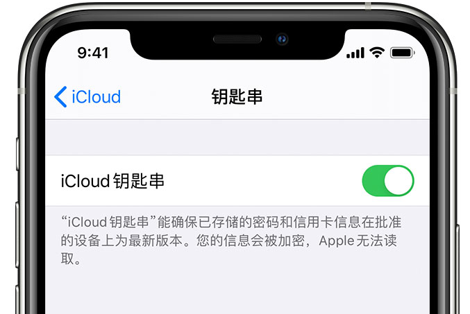 惠城苹果手机维修分享在 iPhone 上开启 iCloud 钥匙串之后会储存哪些信息 