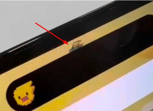 惠城苹果14维修分享iPhone 14 Pro Max灵动岛怎么养宠物 