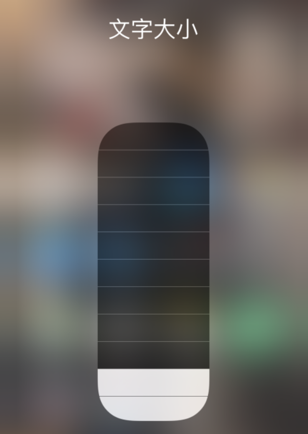 惠城苹果手机维修分享小技巧：在 iPhone 控制中心快速调节字体大小 