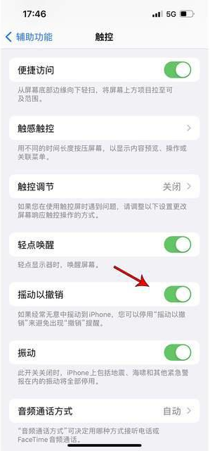 惠城苹果手机维修分享iPhone手机如何设置摇一摇删除文字 