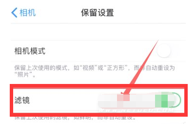 惠城苹果13维修分享iPhone13拍照有绿点是怎么回事 