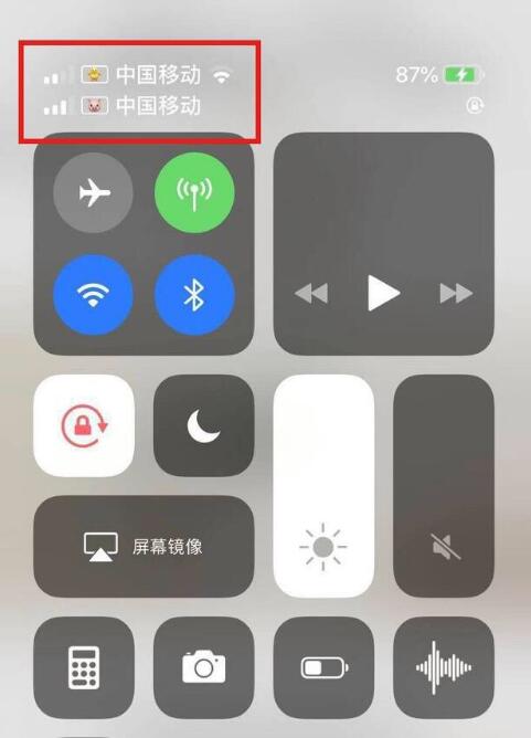 惠城苹果手机维修分享为 iPhone 12 双卡设置标签 