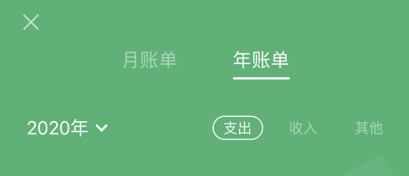 惠城苹果手机维修分享如何在 iPhone 上查看支付宝和微信年支出账单 